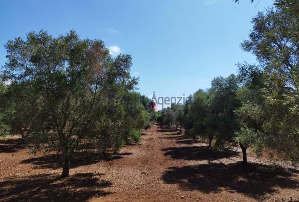 Trulli to be restored/expanded 12