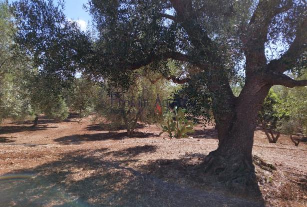 Trulli to be restored/expanded 13