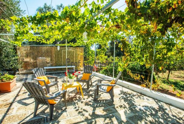 192607 - Country villa with pool 13