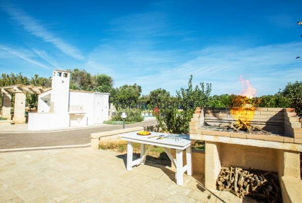 192607 - Country villa with pool 14