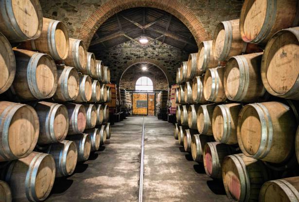 YOUR VINEYARD ESTATE - AT A FRACTION OF THE COST 18