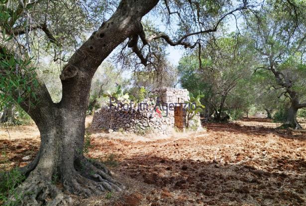 192614 - Trulli to be renovated 1