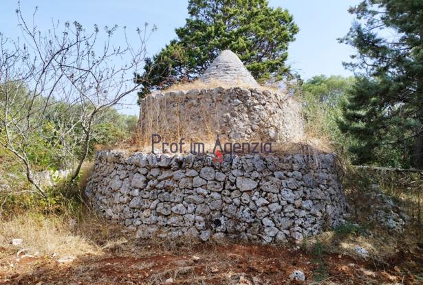 192614 - Trulli to be renovated 6