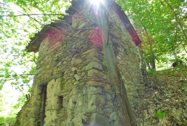 Original Stone Houses with 8 Hectares of Land - PMP004