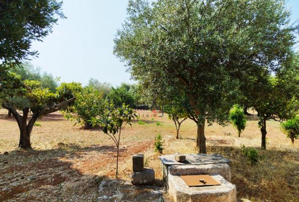 172504 - Farmhouse for renovation 18