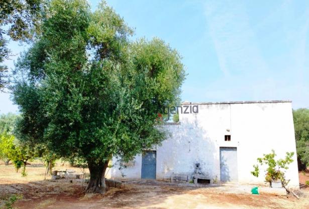 172504 - Farmhouse for renovation 1