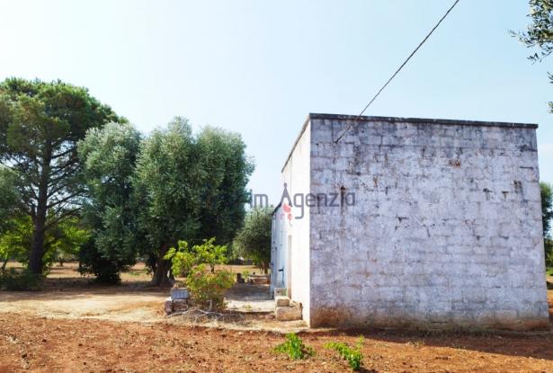 172504 - Farmhouse for renovation 5