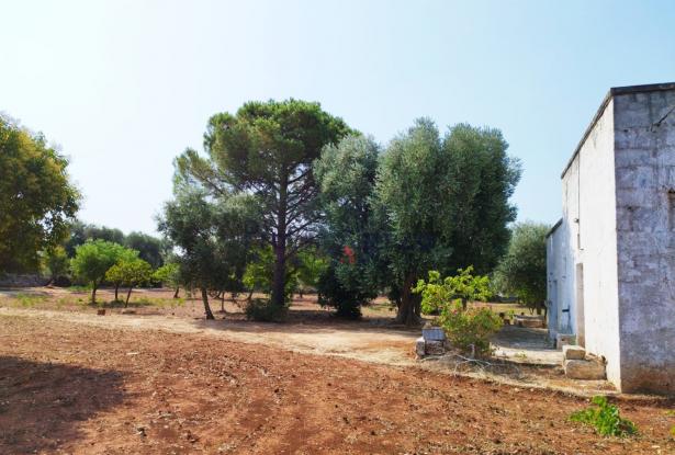 172504 - Farmhouse for renovation 6