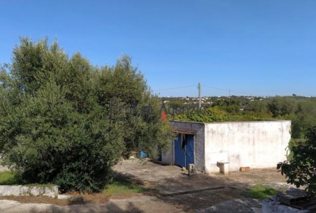 131799 - Trullo and lamia houses complex. 5