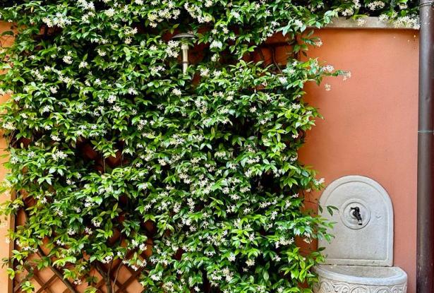 1) Basilica of St. Anthony, charming townhouse with courtyard, terrace and garage. ref.61a 8