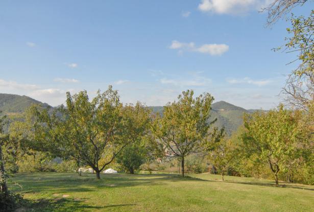 Country house, glamping, for sale in langhe area Country house, glamping, for sale in langhe area