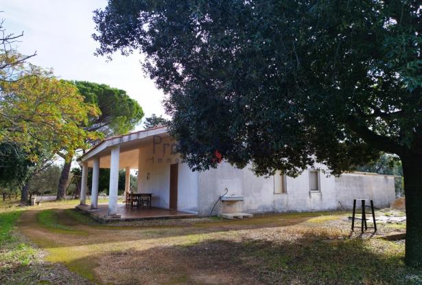 Farmhouse 0