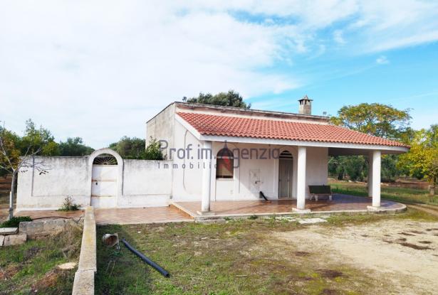 Farmhouse 2
