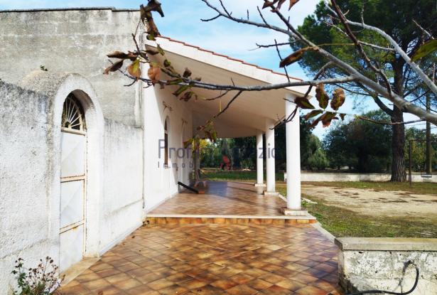 Farmhouse 5