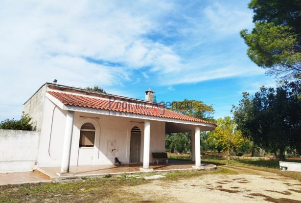 Farmhouse 6