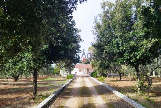 Farmhouse 12