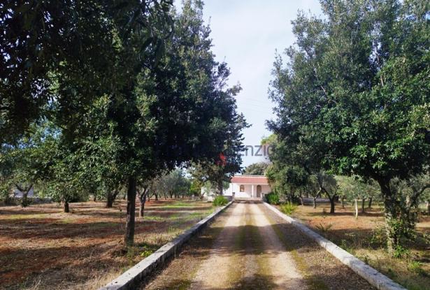 Farmhouse 13