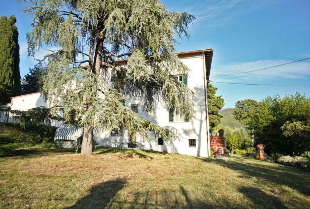 Villa Castiglion Fiorentino 15