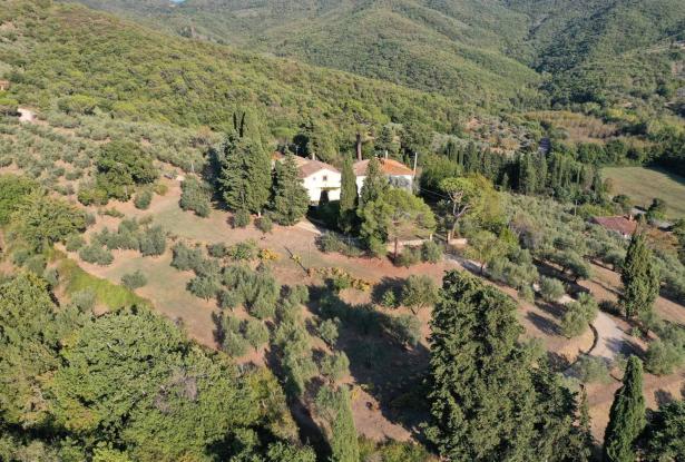 Villa Castiglion Fiorentino 7