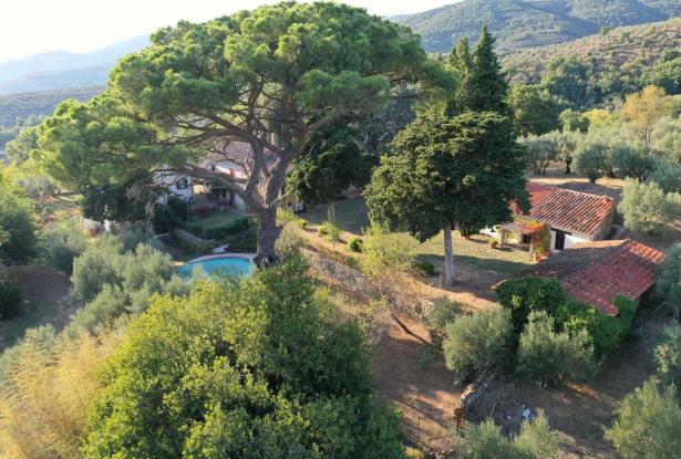 Villa Castiglion Fiorentino 9