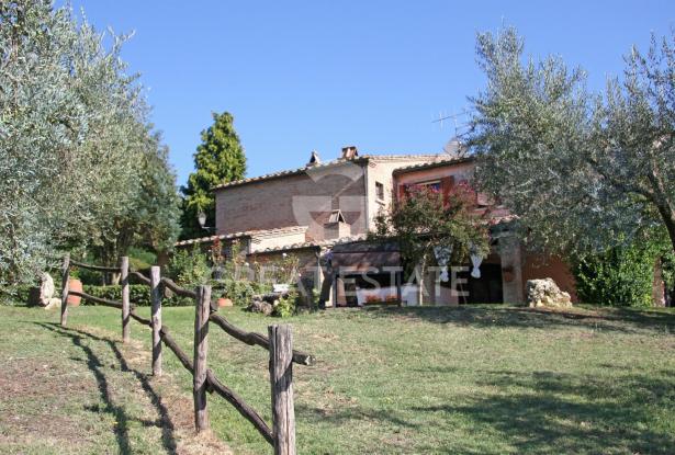 Il Gelsomino di Penna 15 Il Gelsomino di Penna 15