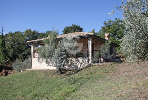 Il Gelsomino di Penna 7 Il Gelsomino di Penna 7