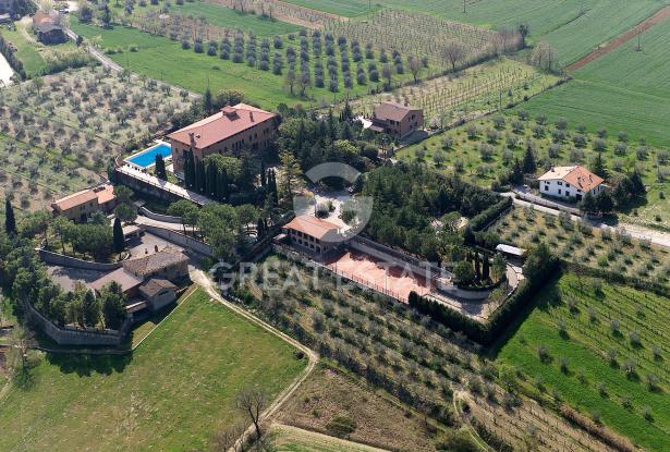 Tenuta trionfale 2 Tenuta trionfale 2