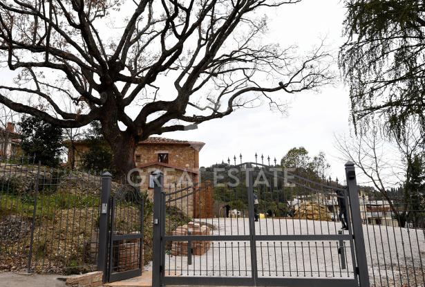 la vecchia quercia nel centro storico 8 la vecchia quercia nel centro storico 8
