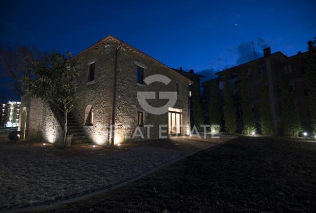 la vecchia quercia nel centro storico 5 la vecchia quercia nel centro storico 5
