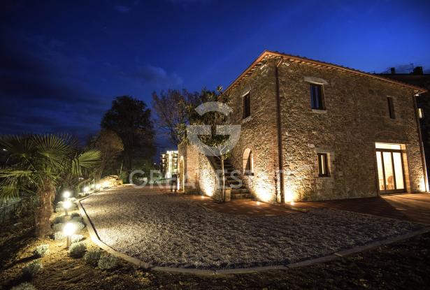 la vecchia quercia nel centro storico 6 la vecchia quercia nel centro storico 6