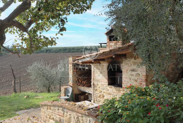 Podere Villa Arzilla 13 Podere Villa Arzilla 13