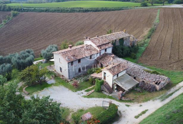 Podere Villa Arzilla 7 Podere Villa Arzilla 7