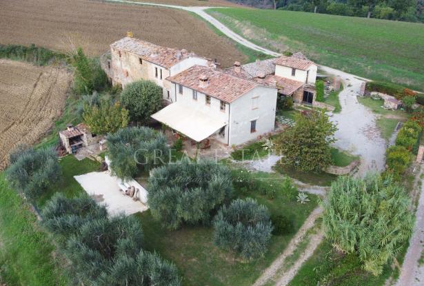 Podere Villa Arzilla 8 Podere Villa Arzilla 8