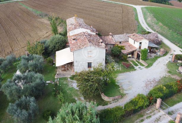 Podere Villa Arzilla 4 Podere Villa Arzilla 4