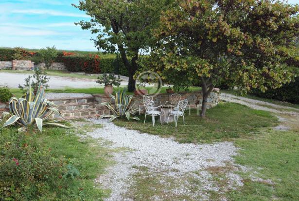 Podere Villa Arzilla 15 Podere Villa Arzilla 15