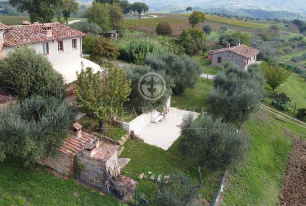 Podere Villa Arzilla 9 Podere Villa Arzilla 9