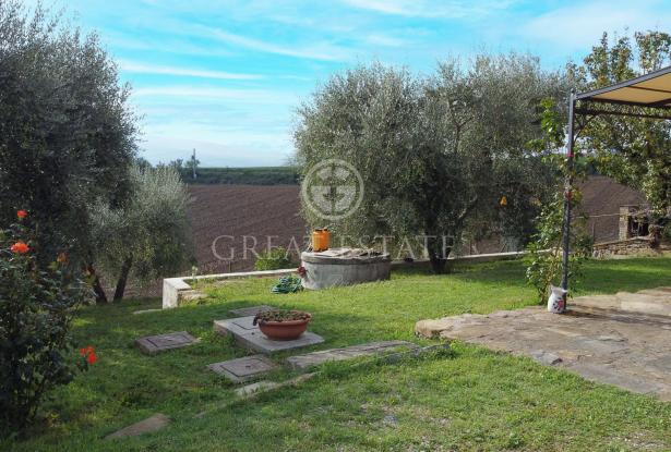 Podere Villa Arzilla 11 Podere Villa Arzilla 11