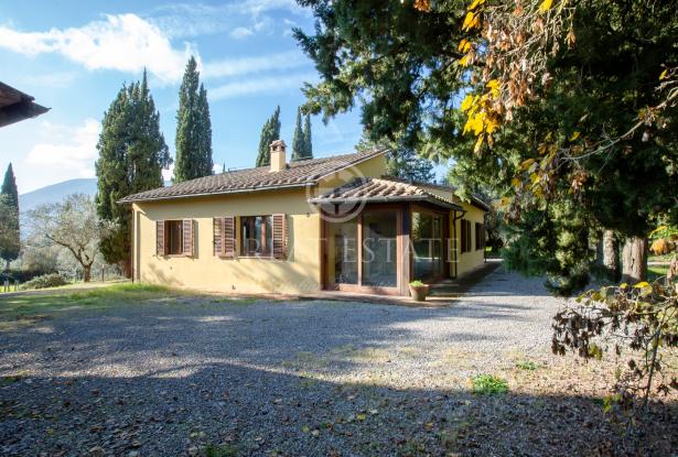 La Casa Gialla 10 La Casa Gialla 10