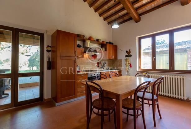 La Casa Gialla 14 La Casa Gialla 14