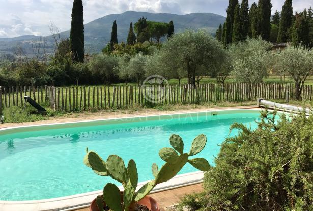 La Casa Gialla 1 La Casa Gialla 1