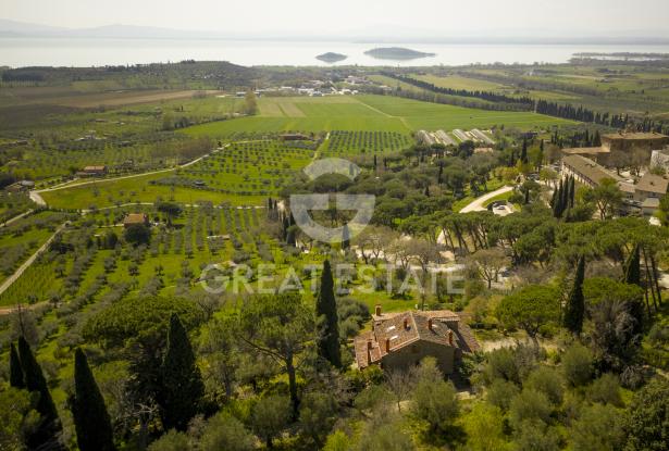 Podere Fiji 1 Podere Fiji 1