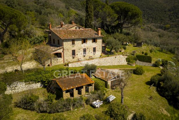 Podere Fiji 4 Podere Fiji 4