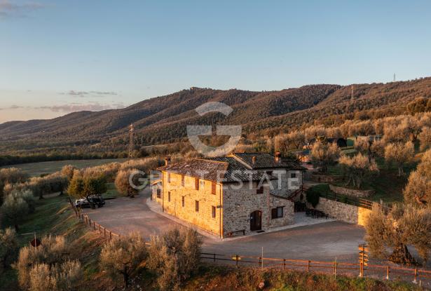 Podere del Sole 7 Podere del Sole 7