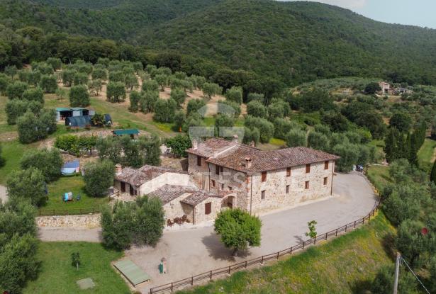 Podere del Sole 2 Podere del Sole 2