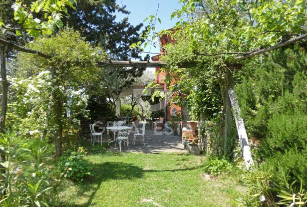 Podere I Nespoli 15 Podere I Nespoli 15