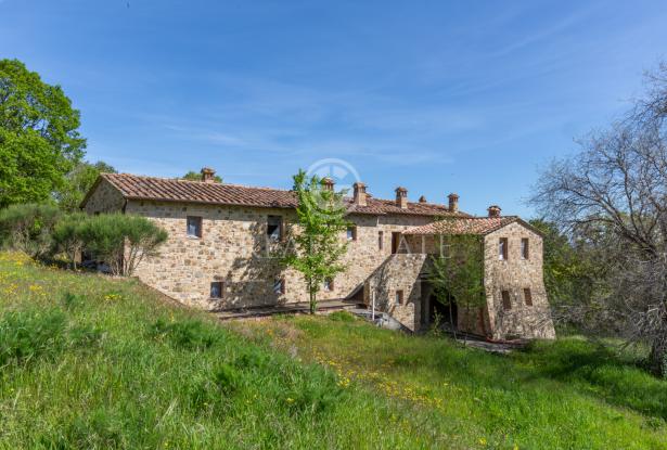 Podere Vallone 5 Podere Vallone 5
