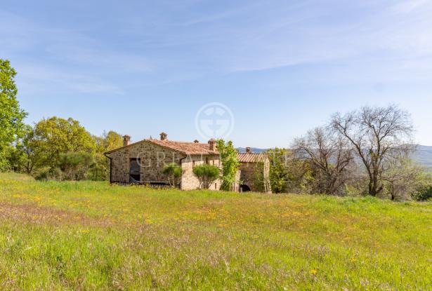 Podere Vallone 6 Podere Vallone 6