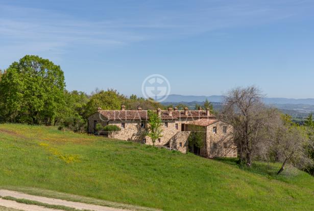 Podere Vallone 7 Podere Vallone 7