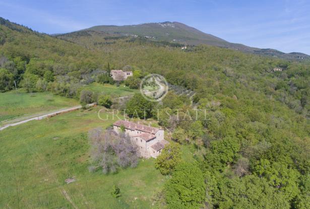 Podere Vallone 8 Podere Vallone 8