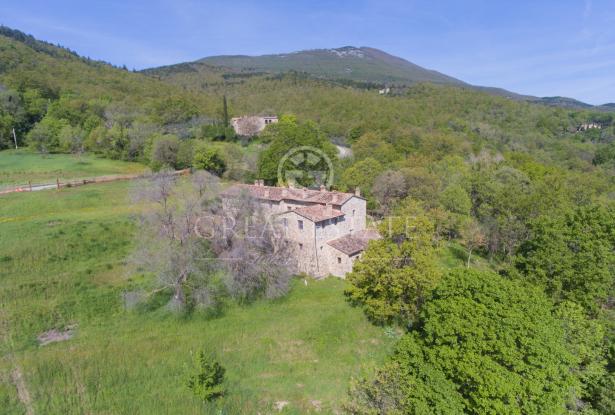 Podere Vallone 3 Podere Vallone 3